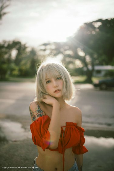 粉红色的火烈鸟