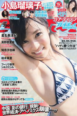 与龙共舞国语